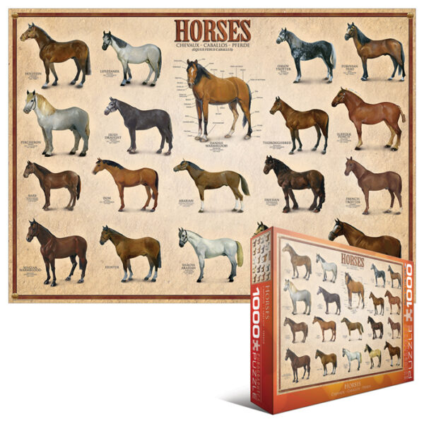 Eurographics 1000p Horses - Image 2