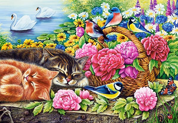 Laiska sunnuntai palapeli on Castorlandin 1000-palainen. Kuvassa kissat nukkuvat tyytyväisinä. Värikkäät kukat ja linnut ympäröivät kissoja.