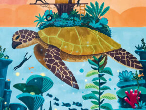 Dream destination 1000 palan palapeli (Unelmien määränpää) on ranskalaisen Pieces & Peacen valmistama. Fantasiapalapelin kuvassa kilpikonna uiskentelee merenalainen elämä allaan ja yläpuolella vihreä maanpäälinen elämä.