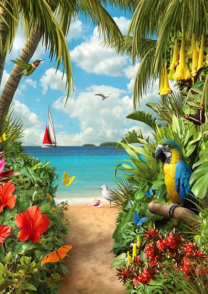 Discovery-palapeli on Enjoyn 1000 palan palapeli. Kuvassa näkymä tropiikista,, taustalla turkoosi meri. Linnut, perhoset ja kukat tuovat kuvaan väriä. Ihana tropiikin tunnelma houkuttelee kokoamaan palapeliä.