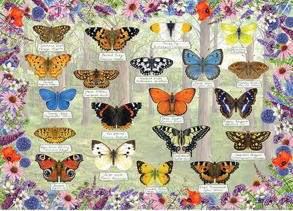 Beautiful Butterflies -palapeli esittelee värikkäät päiväperhoset ja kukat, joissa perhoset viihtyvät. Kaunis kuva on kuin opetustaulu. Palapelissä on 1000 palaa.