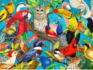 Feathered Frenzy palapeli on upea lintupalapeli, jossa tukaani, papukaija, pöllö ja esimerkiksi talitiainen esittelevät lintujen kirjoa.