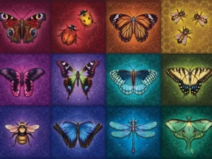 Beautiful Winged Things -palapeli on kuin taidepalapeli, jossa ruudukossa eri perhoslajeja. Palapelissä on 1000 palaa Valmiin palapelin koko 70 x 50 cm