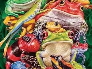 Frog Business palapeli on täynnä erilaisia sammakoita. Sammakot-palapelissä on 1000 palaa. Valmistaja kanadalainen Cobble Hill.