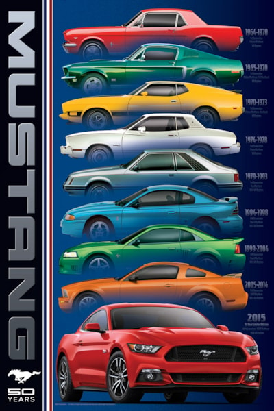Ford Mustang 50 vuotta palapeli on kanadalaisen Eurographicsin valmistama.  Eurographicsin palapelit on leikattu SmartCut-tekniikalla. Eli palat ovat monimuotoisia ja yksilöllisiä. Pieni Harrastepuoti