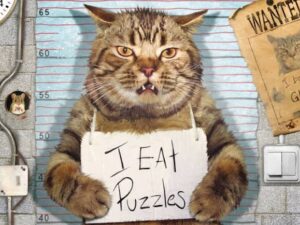 Felony Cat palapeli on Eurographicsin 500-palainen. Kuvassa kissa on syyllistynyt törkeään rikokseen syömällä palapelin paloja. Kissan kaulassa roikkuu tunnustus: I eat puzzles.