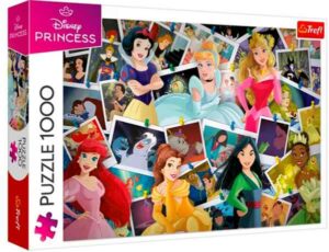 Disney Princess palapeli 1000 palaa on Disney-palapeli, jossa Disneyn kirjoista ja elokuvista tutut prinsessat esittäytyvät. 