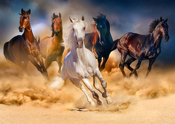 Horses running in the desert -palapeli 1000 palaa on Enjoy Puzzlen hevoset-palapeli.