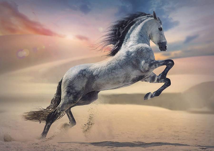 Majestic Horse palapeli 1000 palaa, jossa hevonen, hevospalapeli