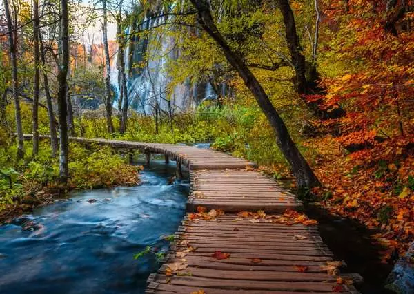 Autumnal wood trail palapeli 1000 palaa on Ravensburgerin Beautiful Walkways -sarjaa. maisema palapeli Kroatia